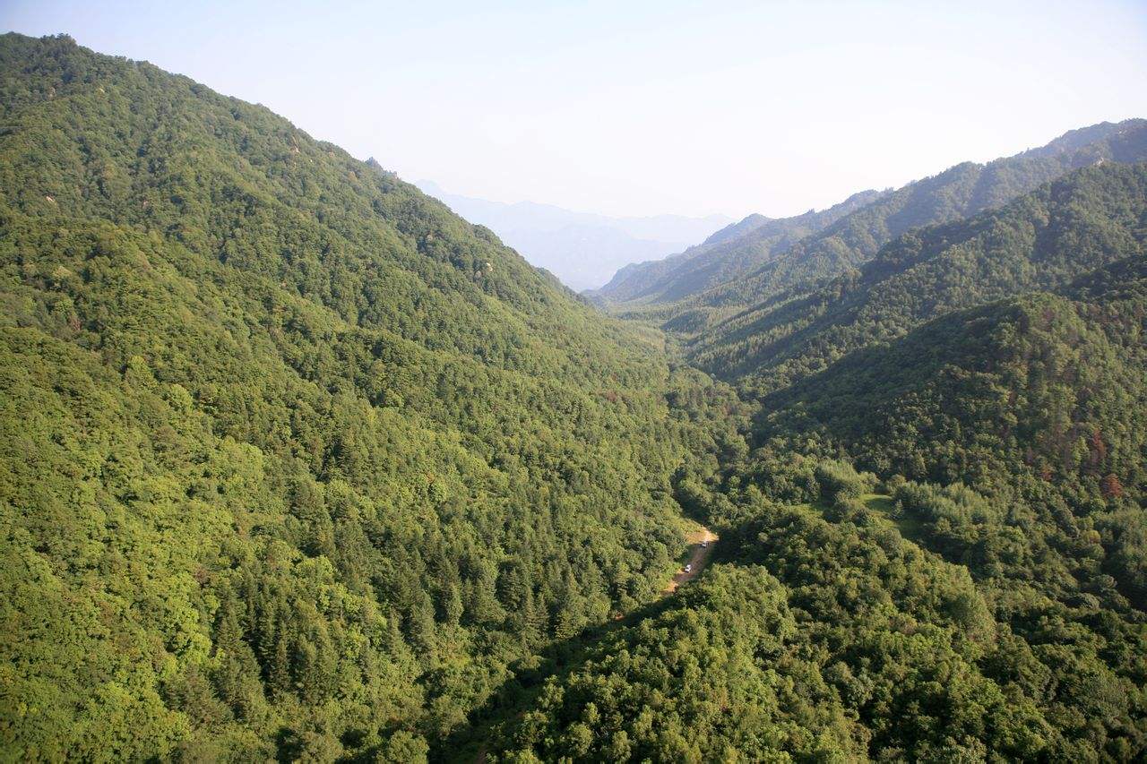 小陇山国家森林公园