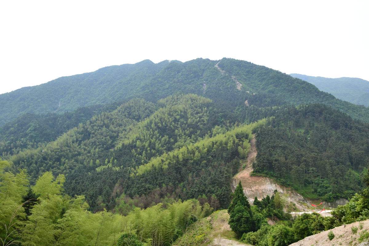 通城黄龙山