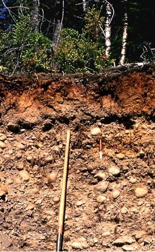 淀积层在发生学上叫b层.