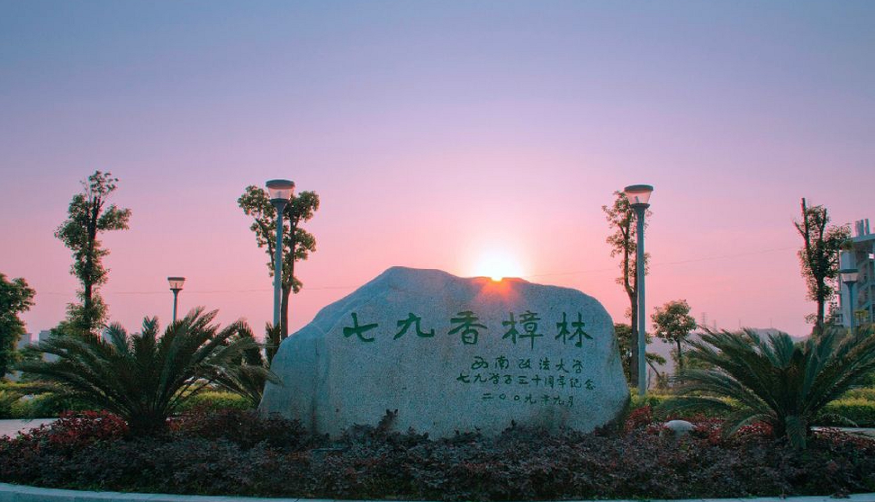 西南政法大学