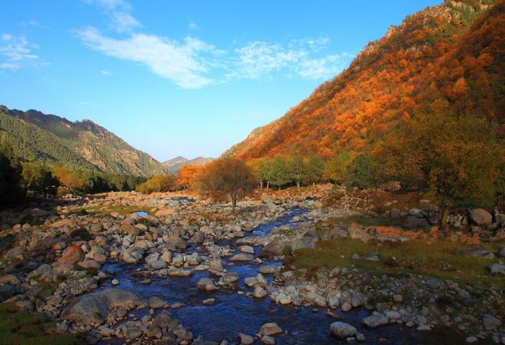 鼓城山自然保护区