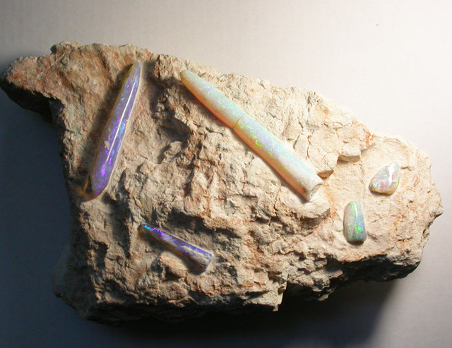  p>箭石石灰石[belemnite limestone] /p> p>目