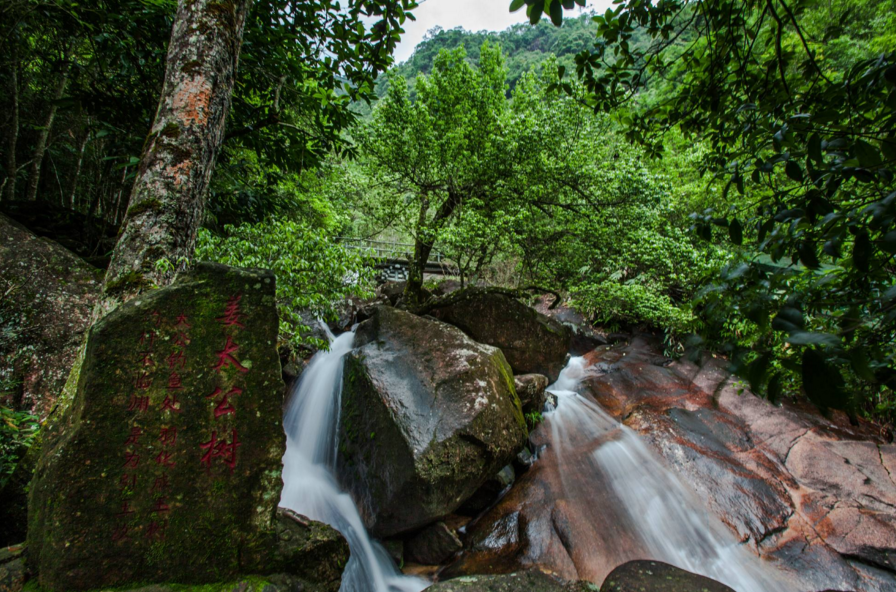  p>十八寨景区地处 a target="_blank" href="/item/武夷山自然保护区