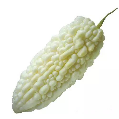 href="/item/台湾/122340" data-lemmaid="122340">台湾 /a>,白玉苦瓜