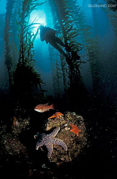 p>太平洋(pacific ocean)是世界上最大,最深,边缘海和岛屿最多的大洋