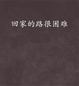 回家的路很困难