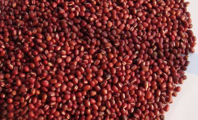  p>赤豆(学名: i>v i>i /i> /i> i>gna angularis   /i>(willd.