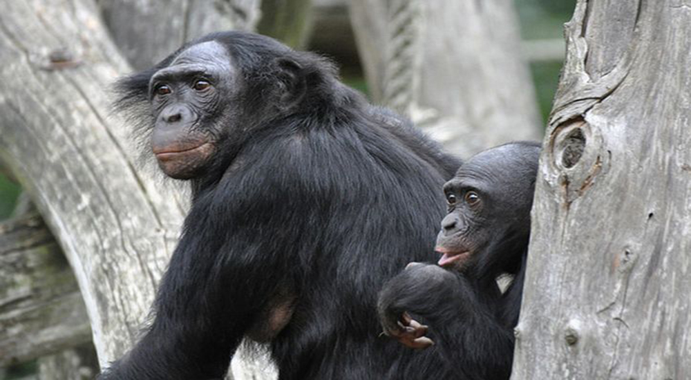 ˺ʲôｻܻ_˺Ͷｻͼ_ｻ ¿Ƶ