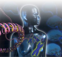 人类基因组计划