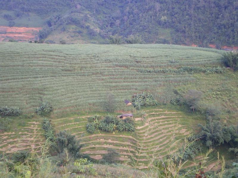 href="/item/临沧/640309" data-lemmaid="640309">临沧 /a>市镇康县 