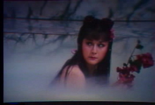  p>《火烧红莲寺》是于1928年上映的 a href="#" data-lemmaid="