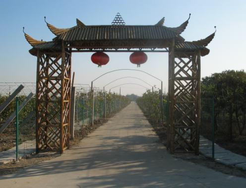  p>马陆葡萄主题公园位于上海市 a target="_blank" href="/item/嘉定