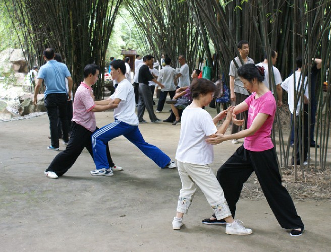  p>太极推手,也称打手,揉手,擖手,是 a href="#" data-lemmaid="84009