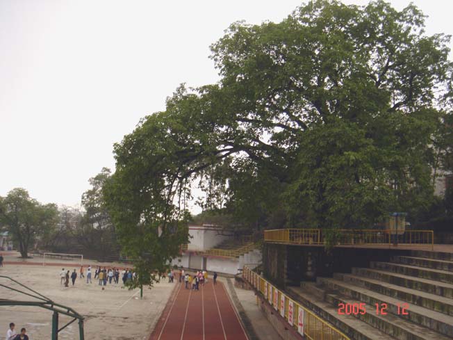 重庆长生桥中学