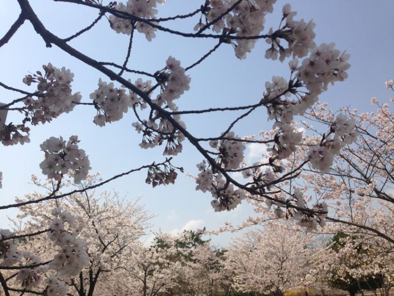 韩国光州女子大学