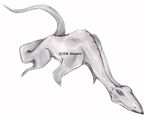  p>尼斯湖 a target="_blank" href="/item/水怪/2062622" data-lemma