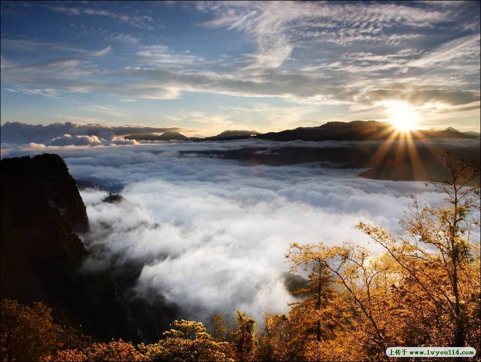  p>阿里山山脉是中国 a href="#" data-lemmaid="122340">台湾 /a>中