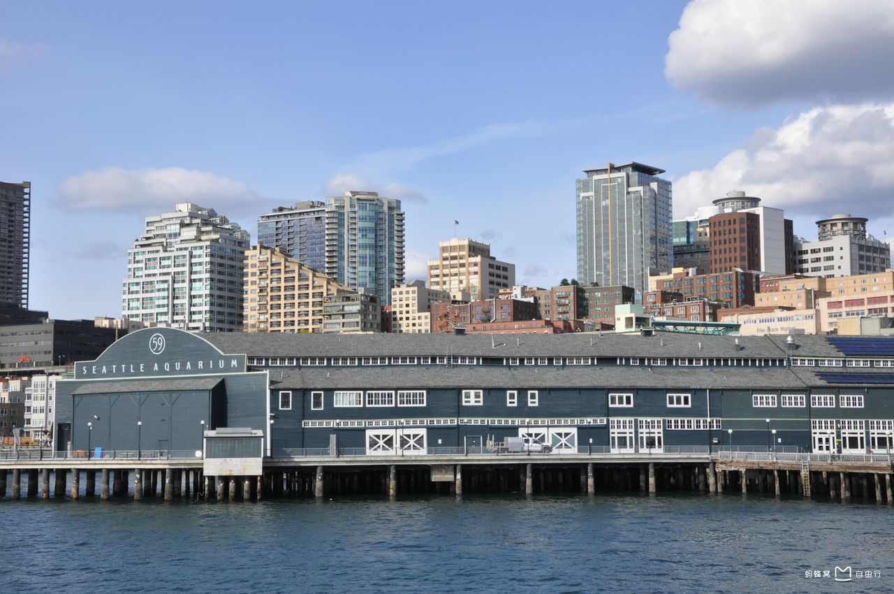 西雅图水族馆