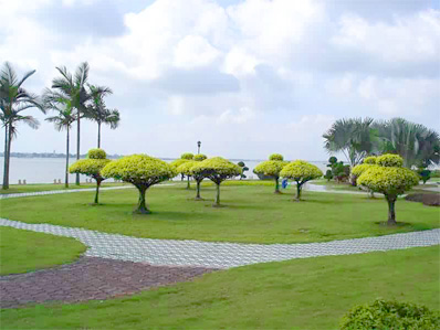 "金海岸"观海长廊