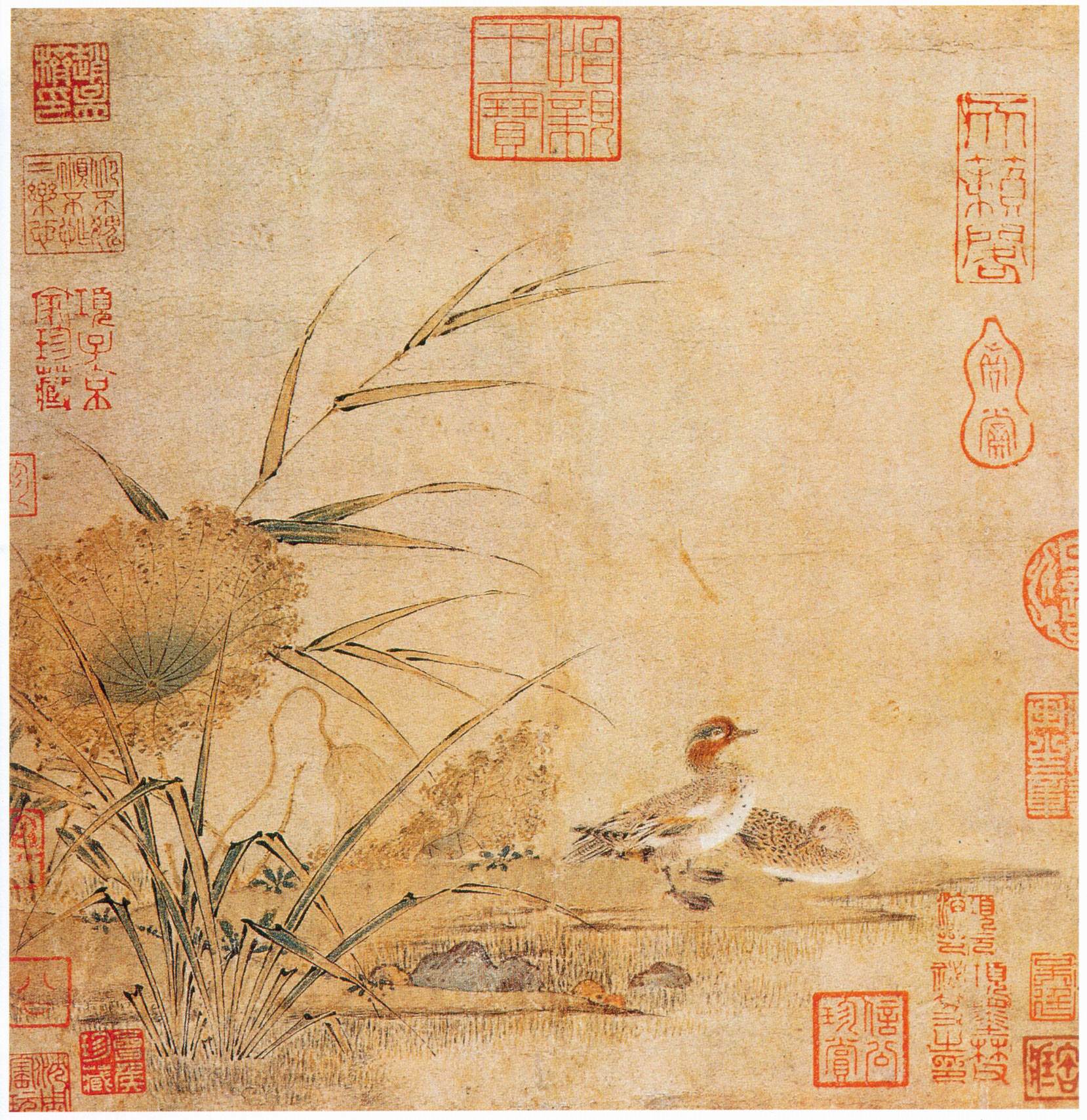 宋惠崇画秋浦双鸳图