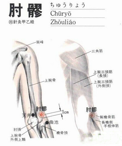 肘髎