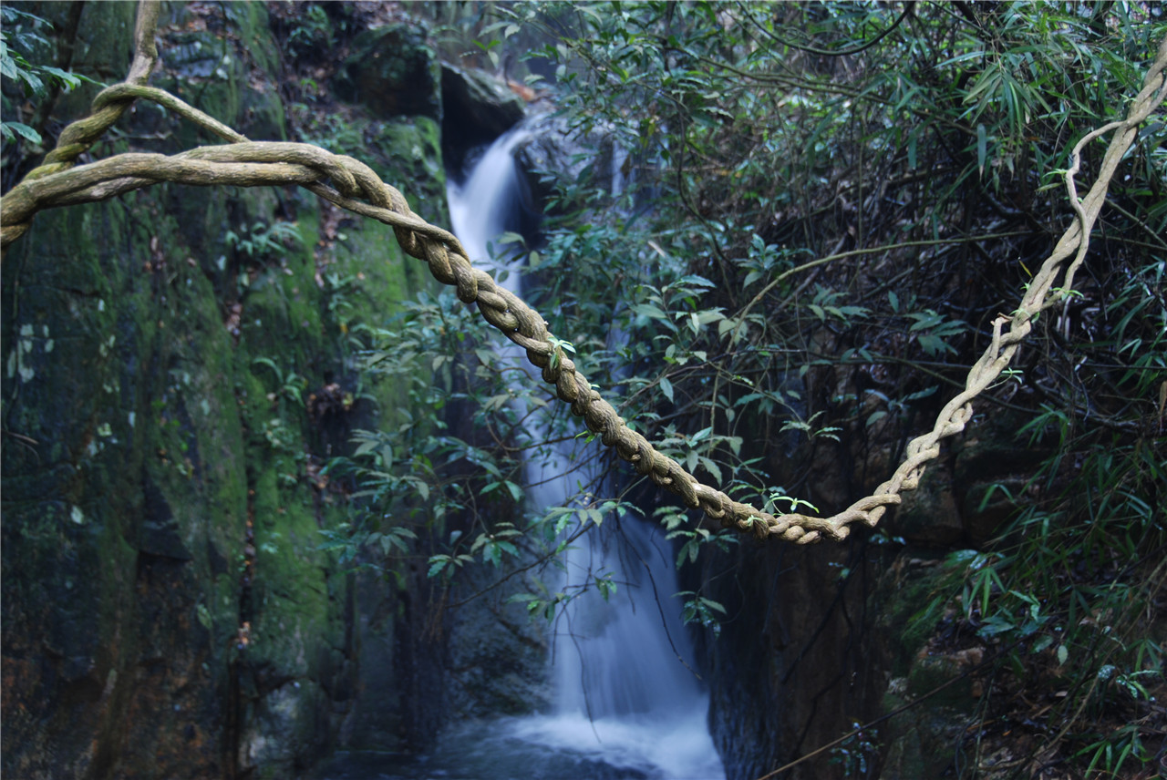 南丹山森林王国