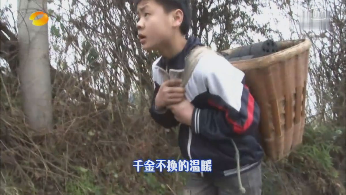 p data-id="gnx7nwb8nr">陈玉林,男,湖南卫视《变形计》之《化不开的
