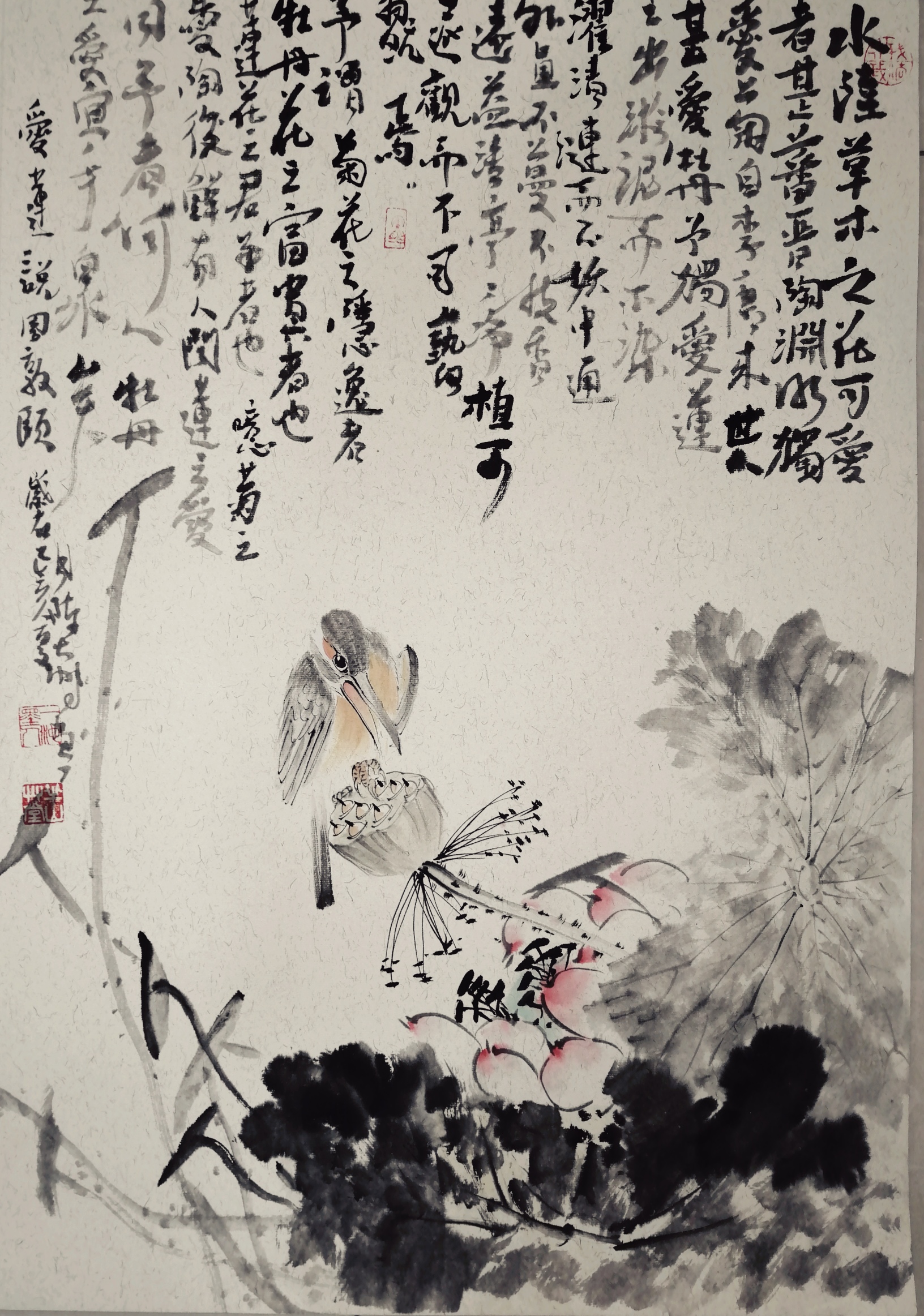 陈大鹏