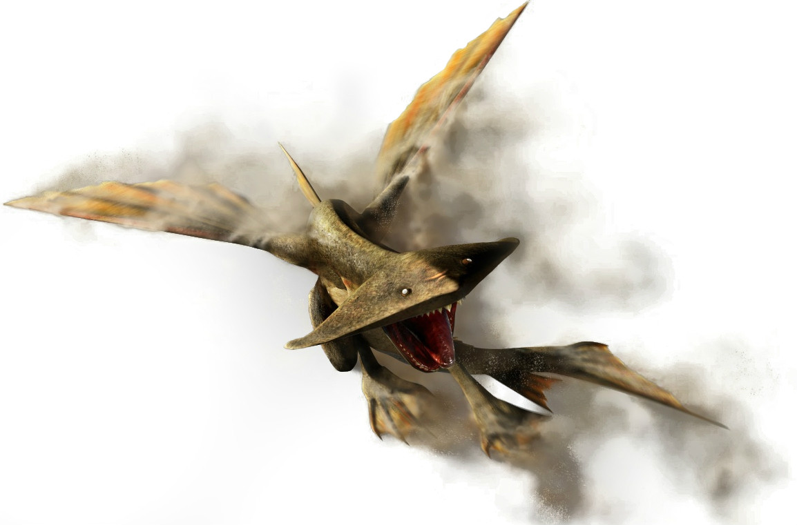 能够在沙漠里游泳