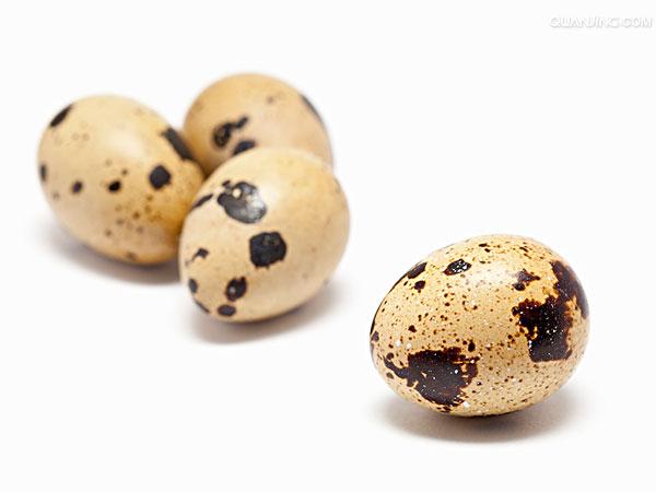 鹌鹑蛋