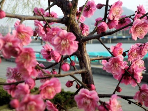 水景公园是以 a target="_blank" href="/item/沂源县">沂源县 /a>城