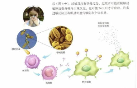 过敏反应（生理反应）_百度百科