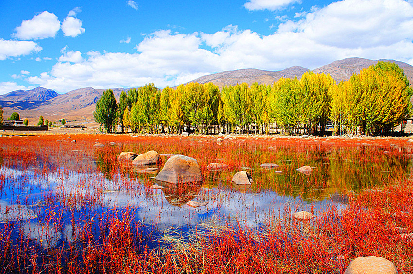 四川省甘孜藏族自治州稻城县桑堆镇所有特殊区域