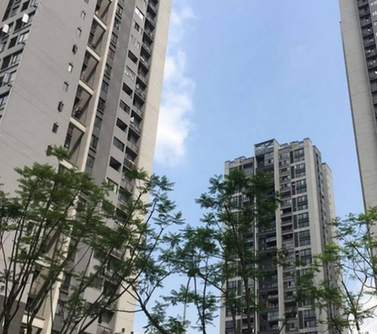 招商花园城一期_百度百科