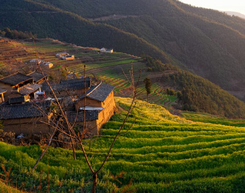  p>中山镇,隶属于云南省楚雄彝族自治州楚雄市,地处 a target="_blank