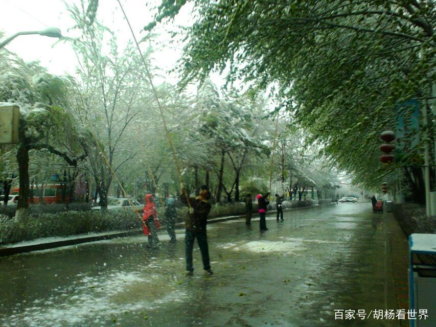 炎热夏季欣赏乌鲁木齐雪景，有很凉爽感觉，尤其雪天的梅花很美艳_百科TA说