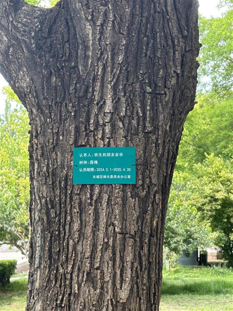 铁生余华友谊树_百度百科