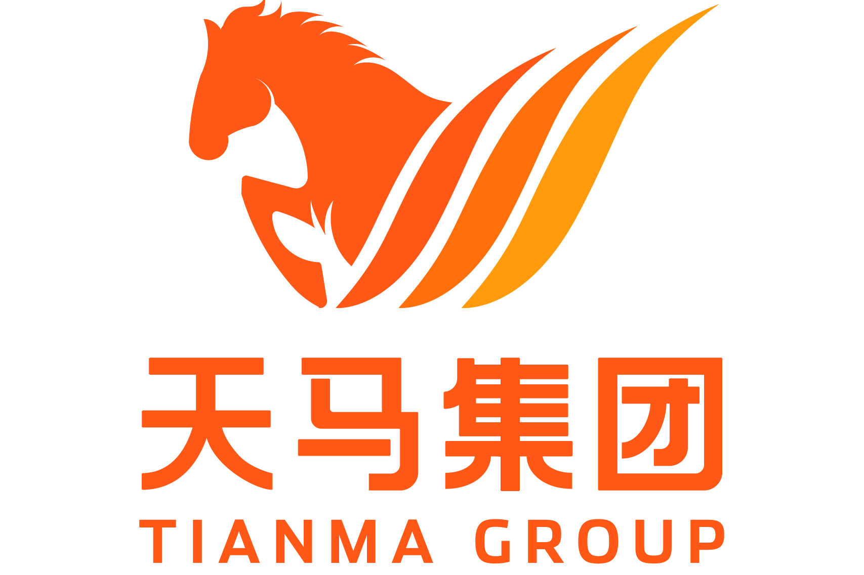 江苏天马网络科技集团有限公司