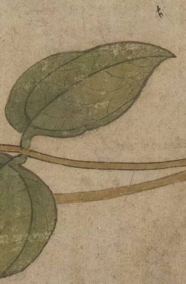 元代花鸟画家王渊作品欣赏_百科TA说