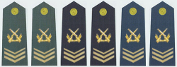 陆海空军三级军士长军衔肩章(2009—)