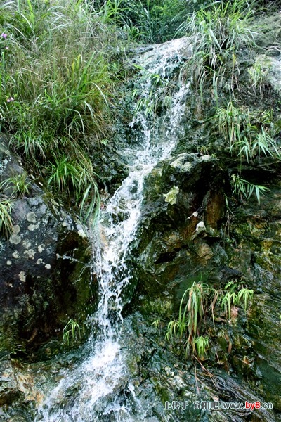  p data-id="gnvf28aie0">下水源庄坐落在大明山半山腰上,海拔500多米