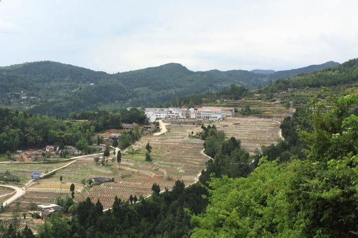后坝村