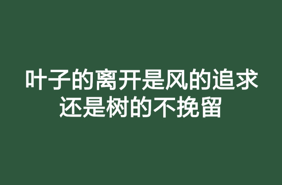 叶子的离开是风的追求还是树的不挽留