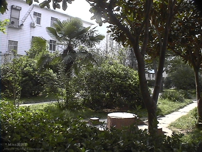 河南省尉氏县第一中学