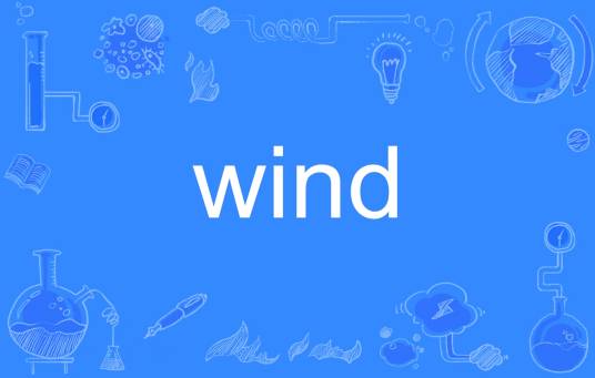 wind（英文单词）_百度百科