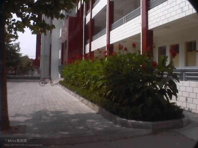 data-lemmaid="1065264">尉氏县 /a>第一中学,简称尉氏一中,2005年11