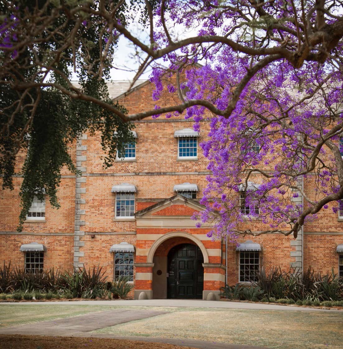  p data-id="gnvhmqdoa4">西悉尼大学(western sydney university)