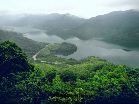 浙江奉化金峨山森林公园