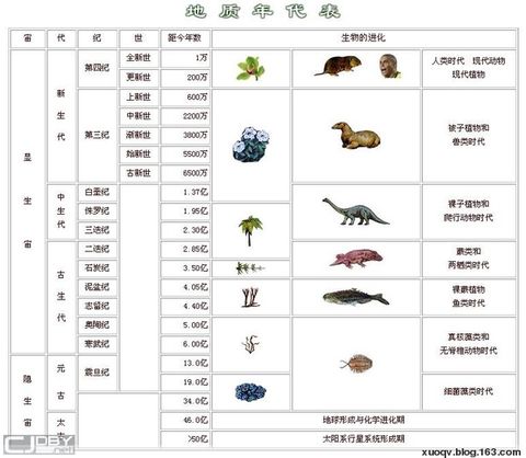  p>第四纪是 a href="#" data-lemmaid="16794">新生代 /a>最新的一个