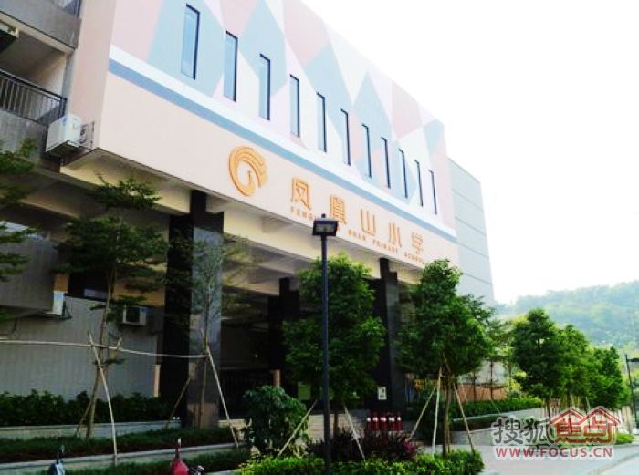 平湖凤凰山小学